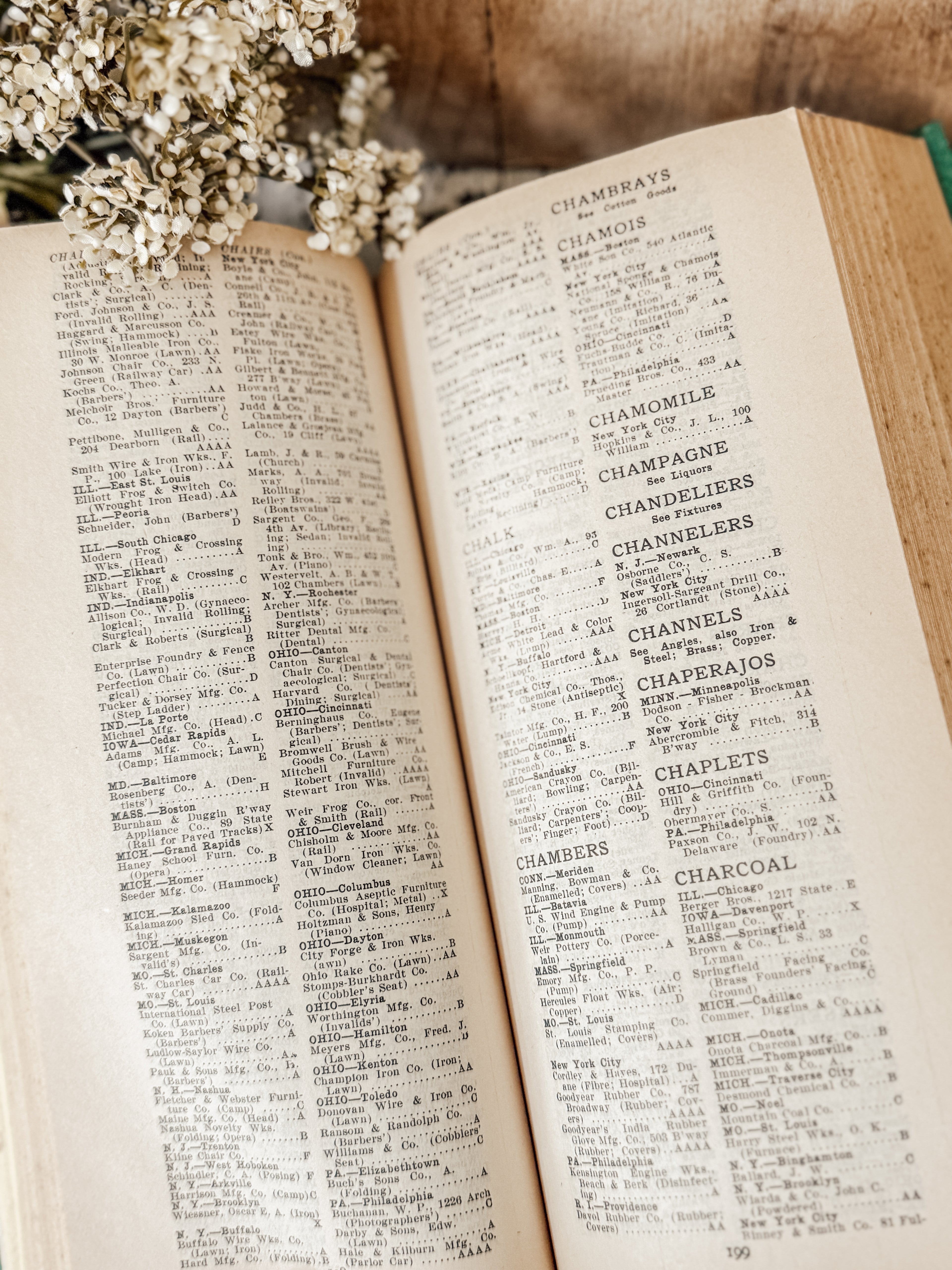 Vintage The Buyer's Guide 1905-1906 (1985 replica)